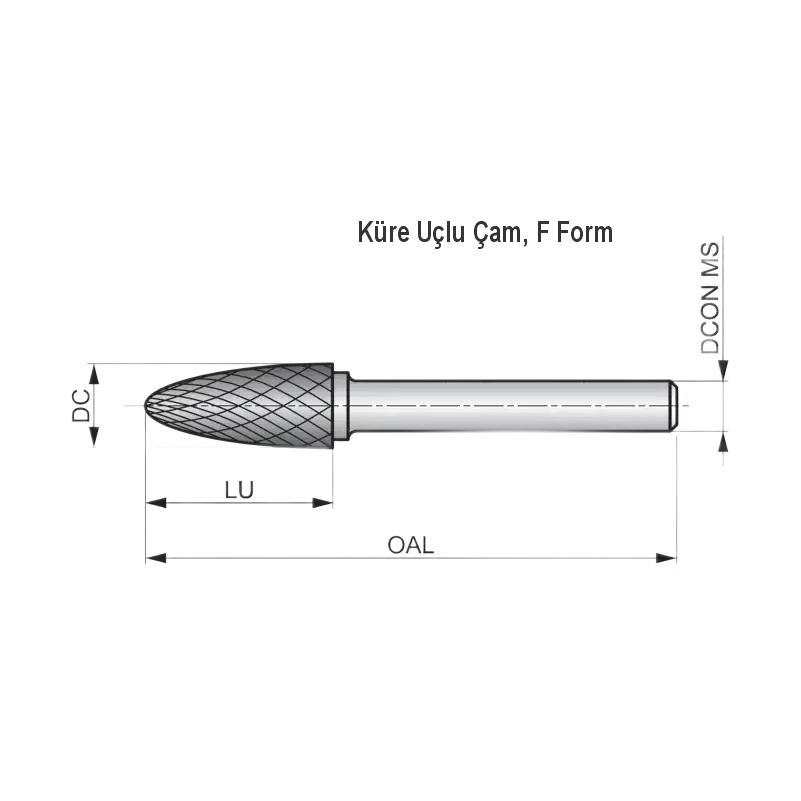 Euroasia F12x25x06x70DC F Formu Karbür Kalıpçı Taşlama Freze — görsel 2