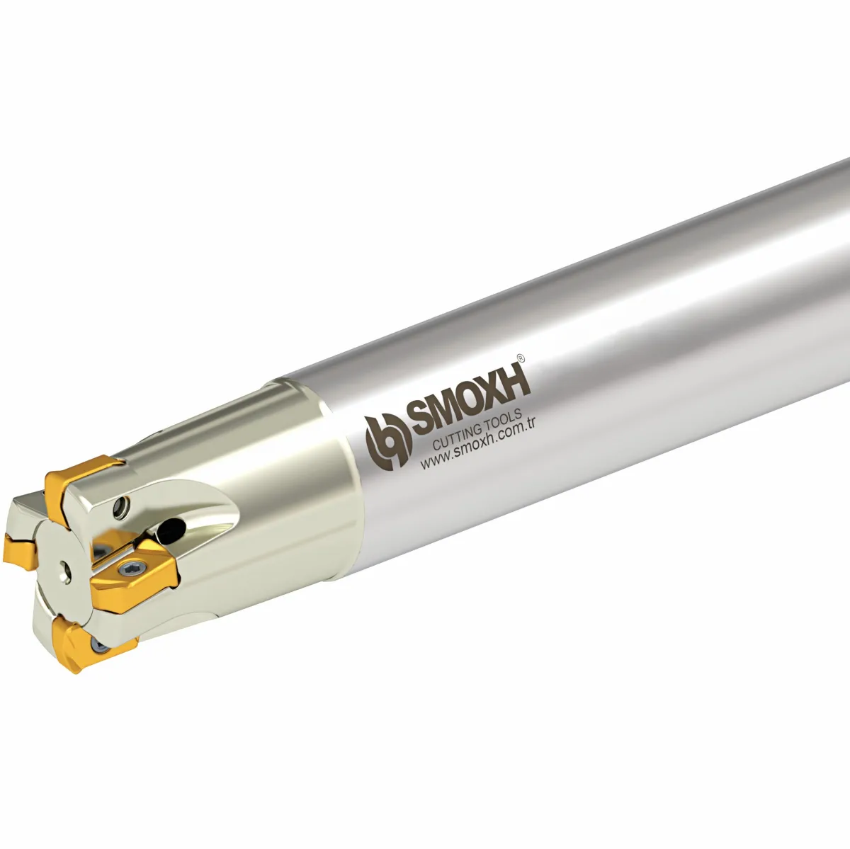 Smoxh HST LN03 D25 W25 L150 Z04-H Değiştirilebilir Uçlu Freze — görsel 1