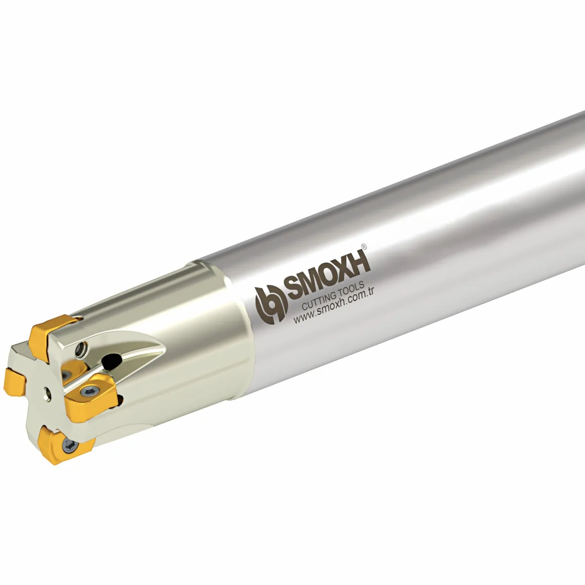 Smoxh HST BN10 D25 W25 L150 Z04-H Değiştirilebilir Uçlu Freze — görsel 1