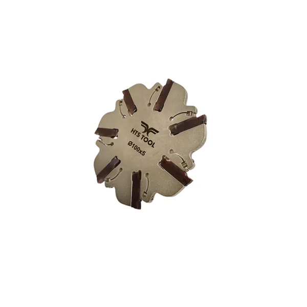 HTS Tool Ø100x5 DKT K5C D100 Z7 T35 M16 Kanal Freze