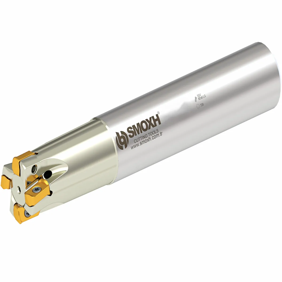 Smoxh HST LG03 D25 W25 L150 Z04-H Değiştirilebilir Uçlu Freze — görsel 1