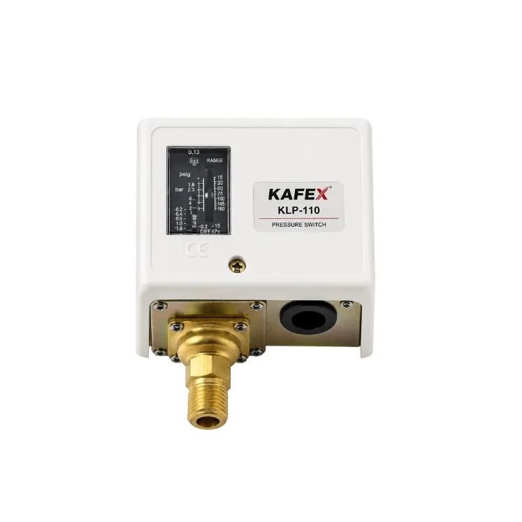Kafex KLP-110 G1/4 1-10 Bar Protestad — görsel 1