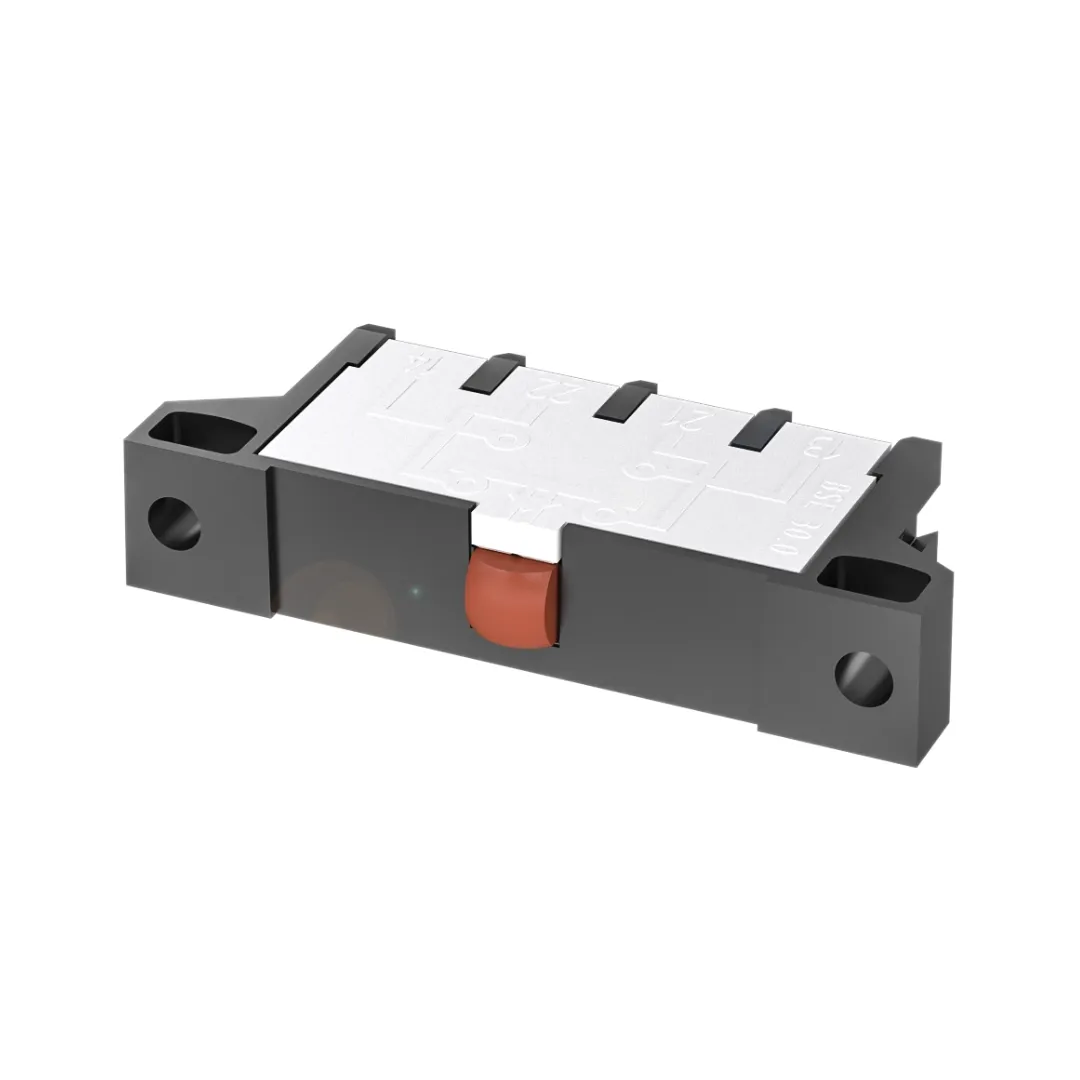 BSE 30.0-RK Mekanik Tek Konumlu Limit Switch — görsel 1